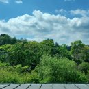 인향 민박 이미지