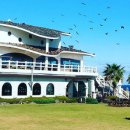 우도피아 이미지