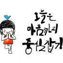 캘리그라피 이미지