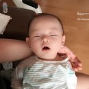 꼬몽베베 네이버블로그