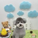 코코바코 이미지