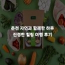 자연과 하루 | 춘천 자연과 함께한 하루 진정한 힐링 여행 후기