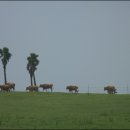 고정화할망집 이미지