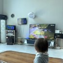 아빠의나무민박 이미지