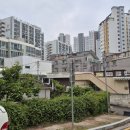 오봉산밀면