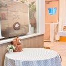 견생공감 이미지