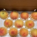 미당농장 이미지