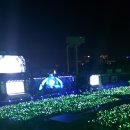 노기자카46 4주콘을 보러가다! - 4