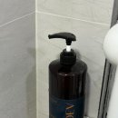 워시베이 | 퍼퓸 바디워시 바디브 약산성 베이베리 오차드 향 후기