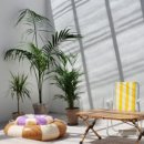 스테이 도랑 이미지