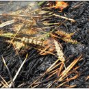 외포초등학교 이미지