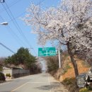 술산경로당 이미지