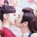 웨이브필 이미지