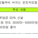 내달 운전자보험 변호사선임비 50% 본인 부담 신설 이미지