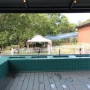 손플라워카페 이미지