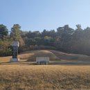 수성최씨시조묘 이미지