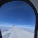 건우농장 | 설명절 제주도 여행