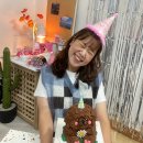 뒤죽박죽 일상