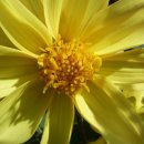 연암축산 이미지