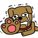 초보 통기타강좌 이미지