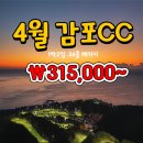 오렌지골프투어
