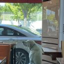 만세반점 이미지