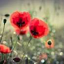 구두수선.운동화빨래방 이미지