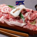 돼지새마을본부 이미지