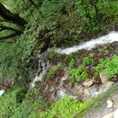 천년 농장 이미지