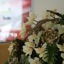 블루멘박