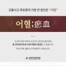 삼대손한의원 이미지