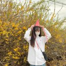 둥지세차장 이미지