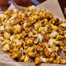 분당 필동물병원 이미지