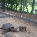 거북공원-1 이미지