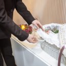 씨엘로펫 이미지