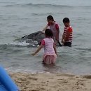 대진펜션 이미지