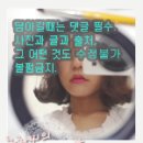 스톰왈츠 이미지