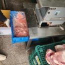 콩이네 멍냥 수제간식 이미지