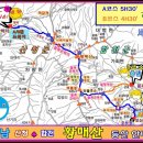 1113 티스토리