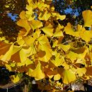 청한농장 이미지