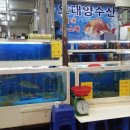 오대양수산횟집 네이버블로그