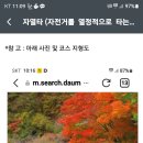 평창 흥정산 이미지