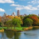 분당행정사 사무소 이미지