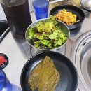 청주강서동맛집 투박이생막창 꽃돼지뒷고기와 차돌된찌밥 추천함!