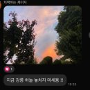 박여사 호프 | 2025년 8월 이야기 : 강릉의 여름은 새콤해