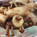 버섯마당 이미지