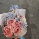 콩쓰플레르
