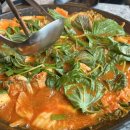 문현로 | 울산동구밥집 동호네 방문후기✨ 물닭갈비와 설렁탕 맛집 인정!