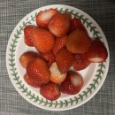 더 조은 푸드