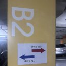 알파동 | 광교두피 관리 : 닥터힐스칼프 광교점 재방문 후기